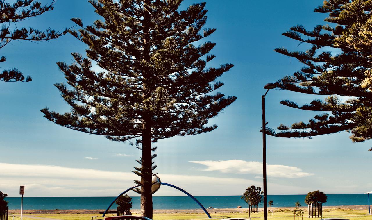 The Nautilus Hotel Napier Bagian luar foto View of the beach from the foreshore