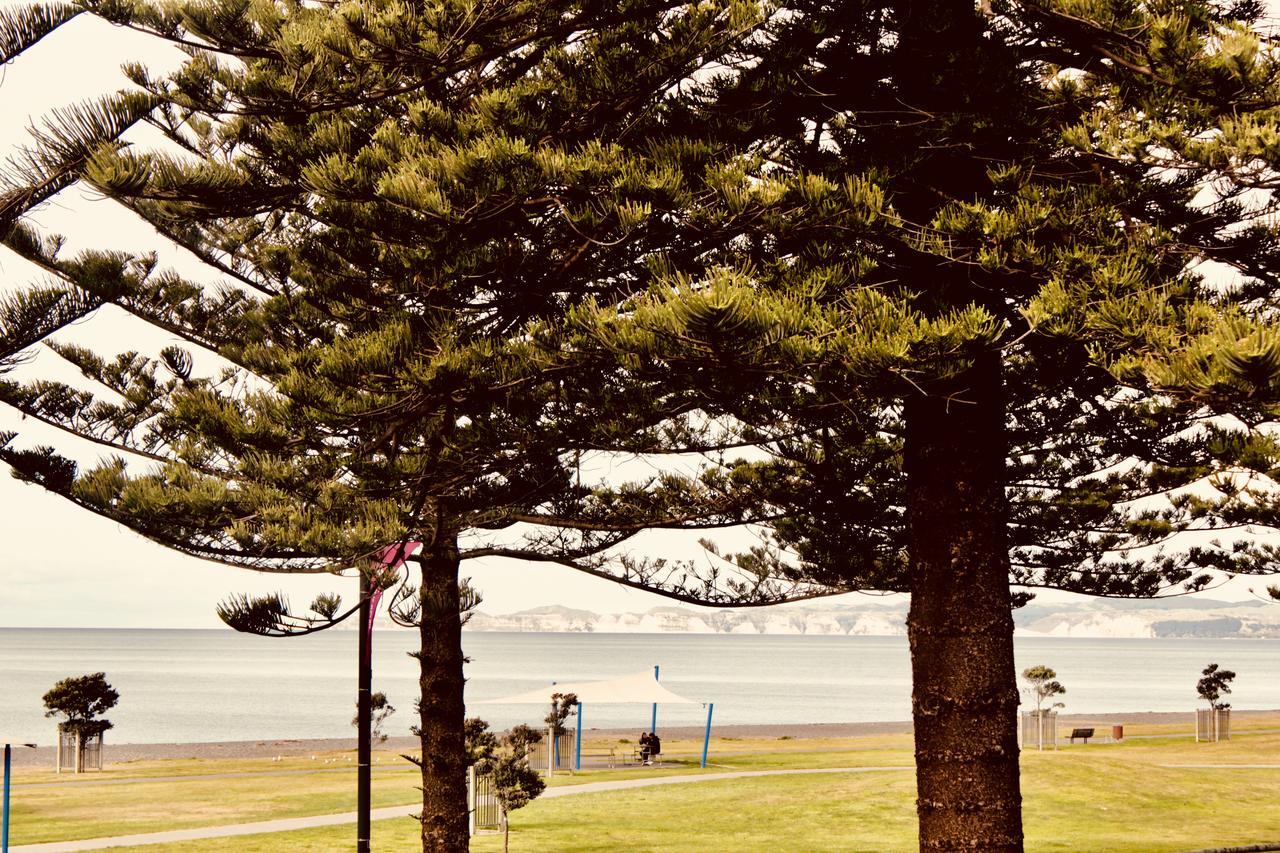 The Nautilus Hotel Napier Bagian luar foto View of the bay from the foreshore