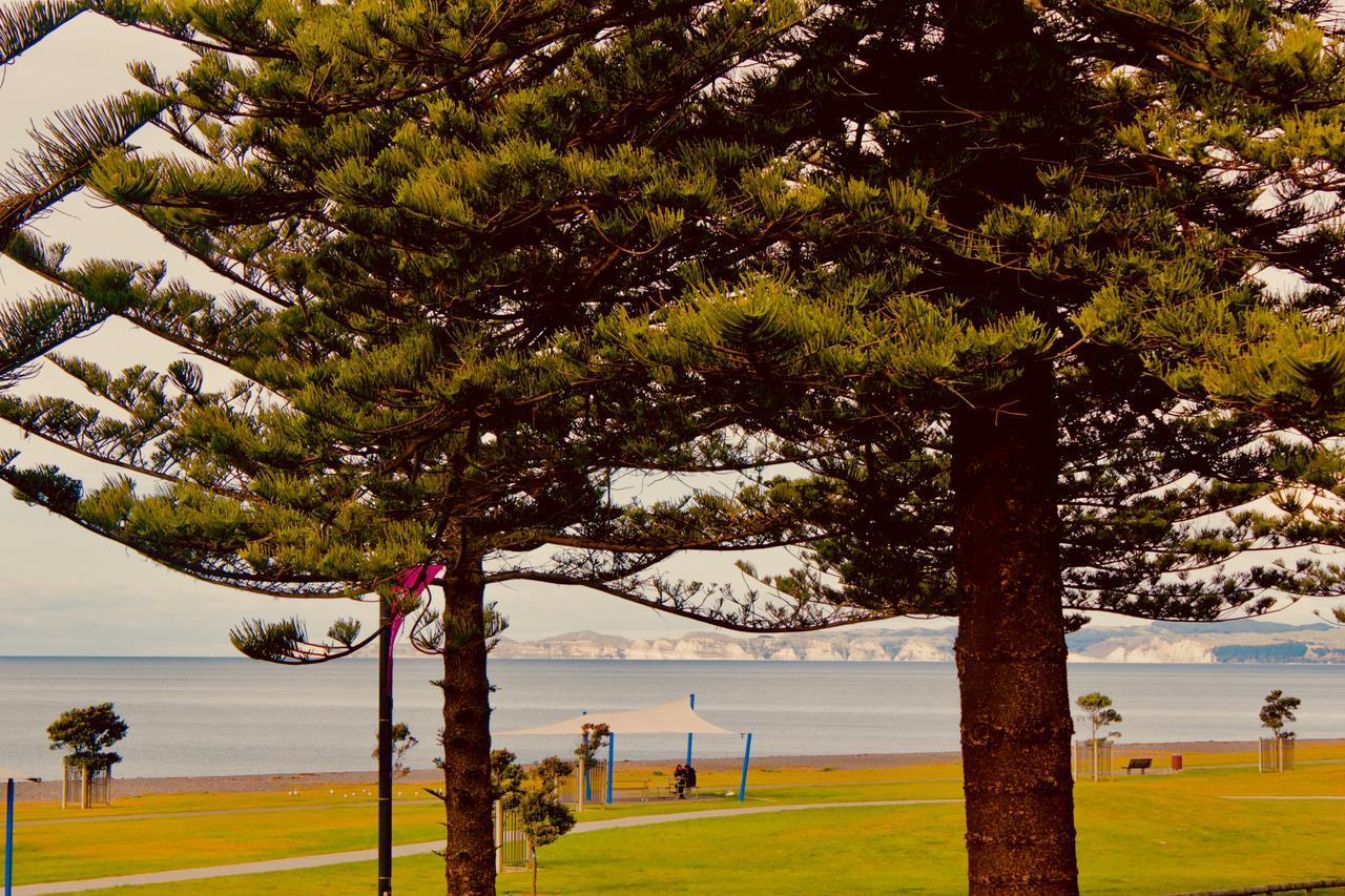 The Nautilus Hotel Napier Bagian luar foto View of the bay from the foreshore